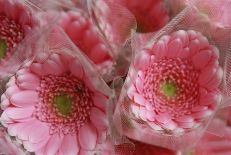 花屋さんに向いてる人の性格は?