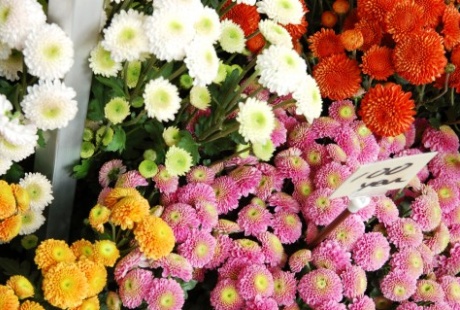 花屋さんの面接