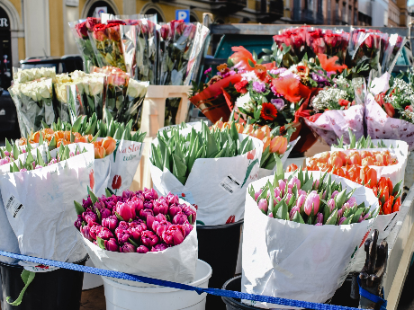花屋さんが仕事を辞めたいと思うとき