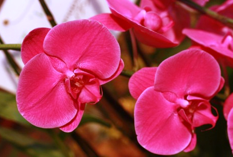 花屋さんの主な仕事内容