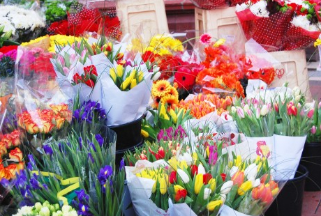 花屋さんに就職する……正社員として就職する