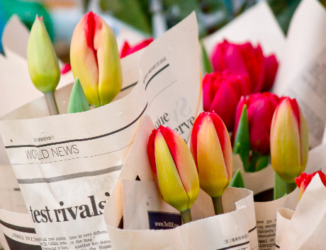 花屋さんに提出する履歴書の書き方