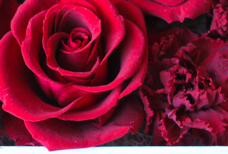 プリザーブドフラワー関連の仕事(製作・販売・講師etc)