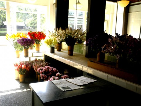 花屋求人の年齢