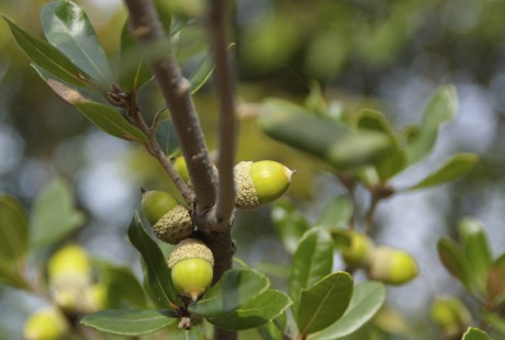 花の資材屋に会員登録するには