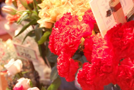 花屋さんは、各店舗で特徴が全然違う