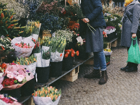 花屋開業のための情報を集めてみました
