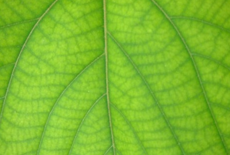 その他の花関係の仕事　目次