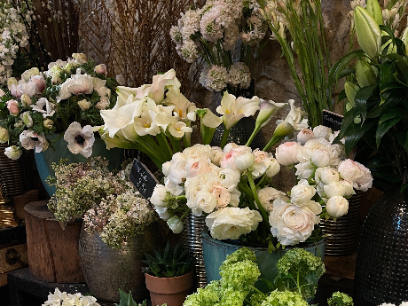 ハローワークで花屋さんの求人を探そう