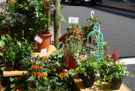 求人の実例をチェックする……花の求人サイトを見てみよう