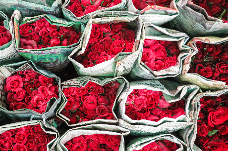 花屋の仕事が決まったら、しておくべきことはある?