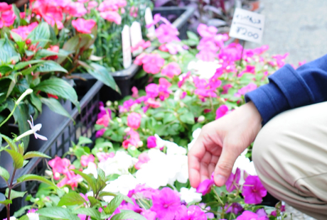 花屋さんに就職する……臨時スタッフ(短期アルバイト)として就職する