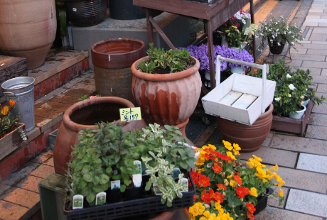 花屋さんに就職する……派遣社員として就職する