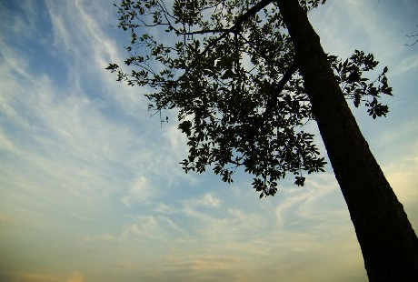 フラワー組織の中枢で講師になる