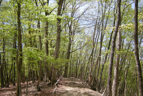 フラワー講師の面接