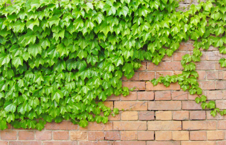 花の先生の困ること、大変なこと、悩み事