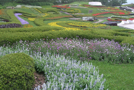 花・植物関連の職業一覧