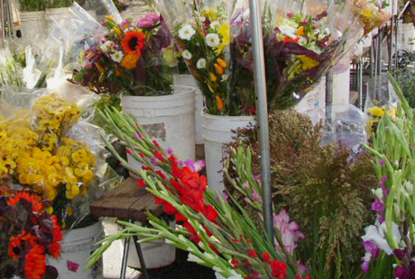 花屋さんがもらいがちなクレームの例