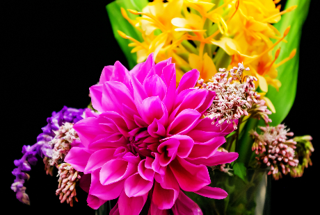 プロの華道家になる道筋