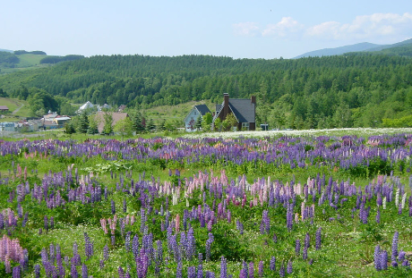 花の先生も、オンライン講座について一度は考えてみるべき