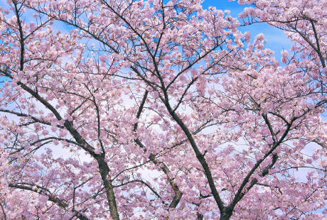 花屋は、花と関係ない仕事をすることもある
