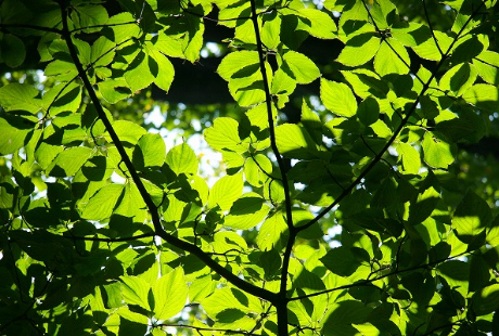 花のプロが持っている道具