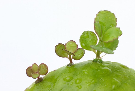 花の仕事の確定申告