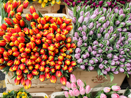 花屋の「夜勤」